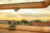 rated Seale roof window companies